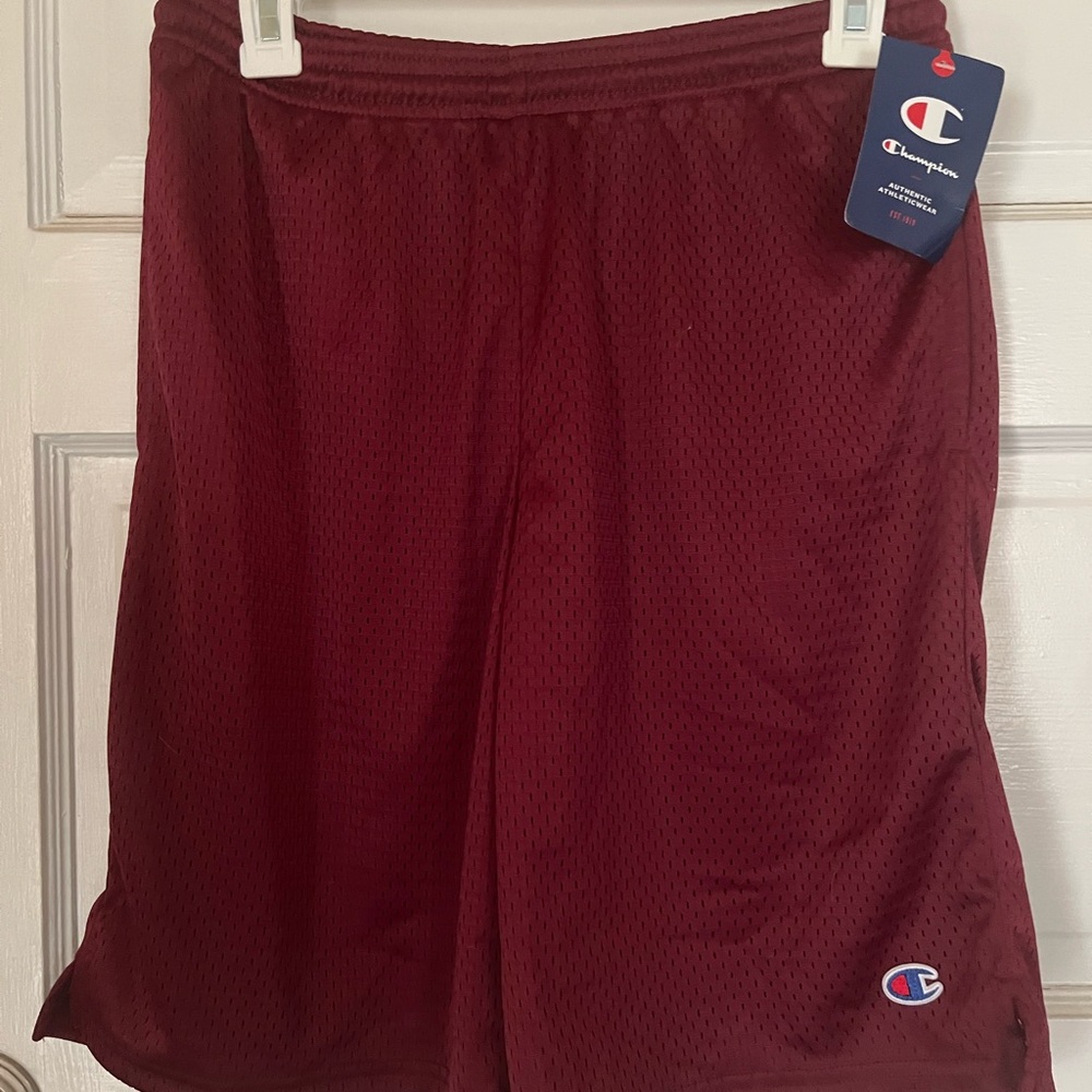 Champion 9 inch mesh shorts